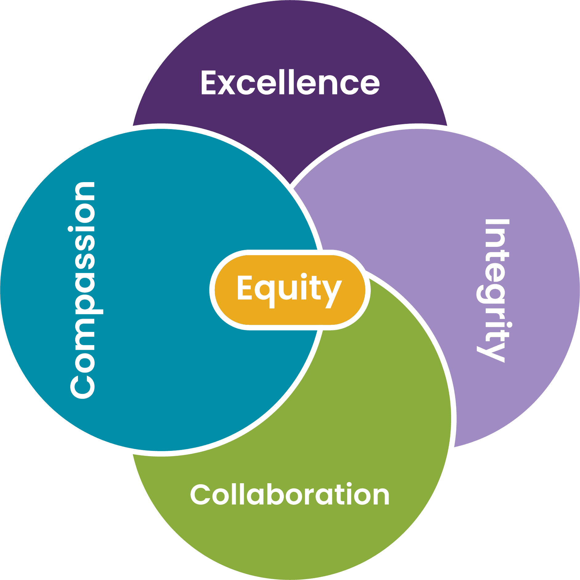 Core Values Graph including Excellence, Compassion, Collaboration, Integrity, and Equity.
