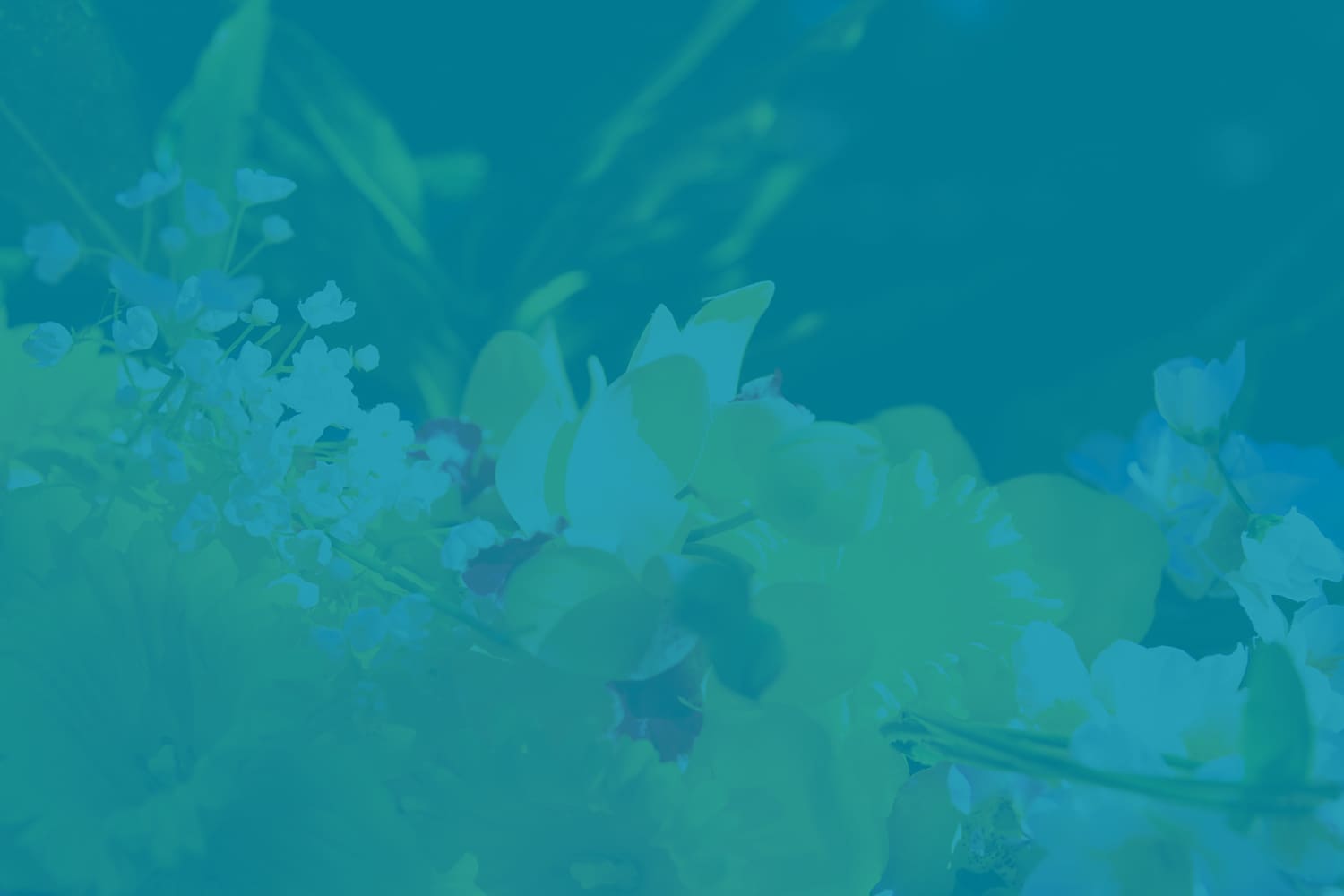 Standing Together for Sexual Assault Awareness Month 2026